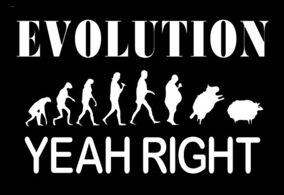 Evolution? Yeah right decal